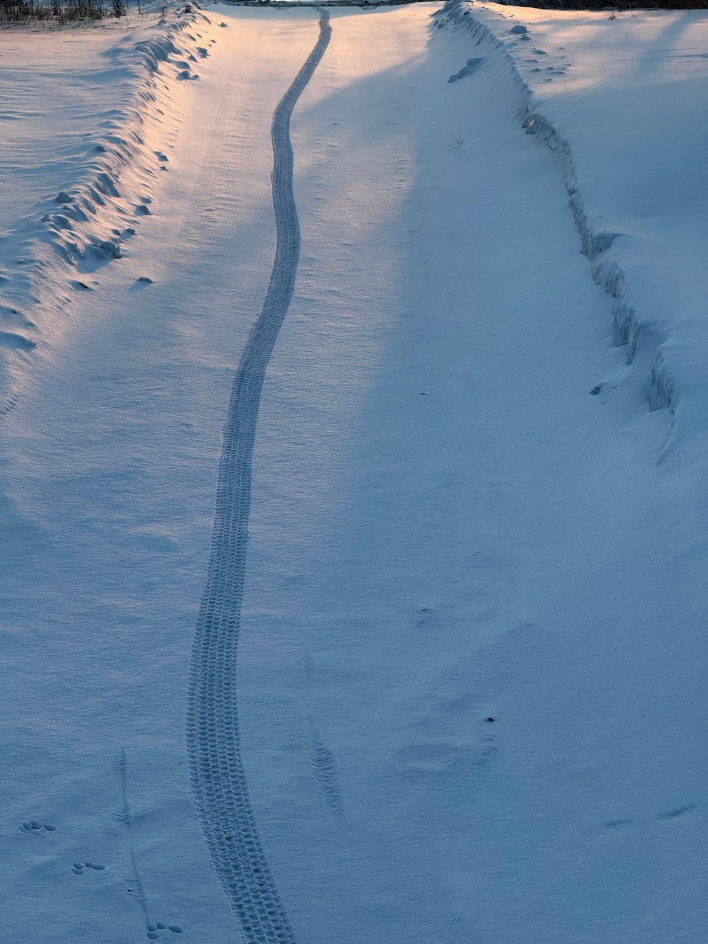 Husband Tracks