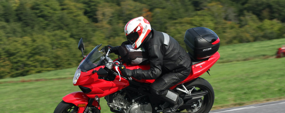 The Endurance Rider