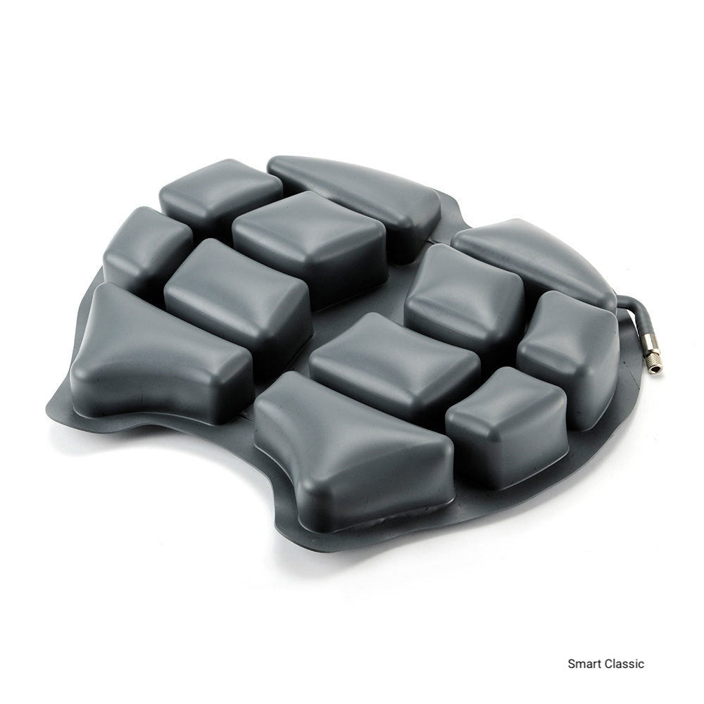 Wild-Ass Classic Motorcycle Cushions